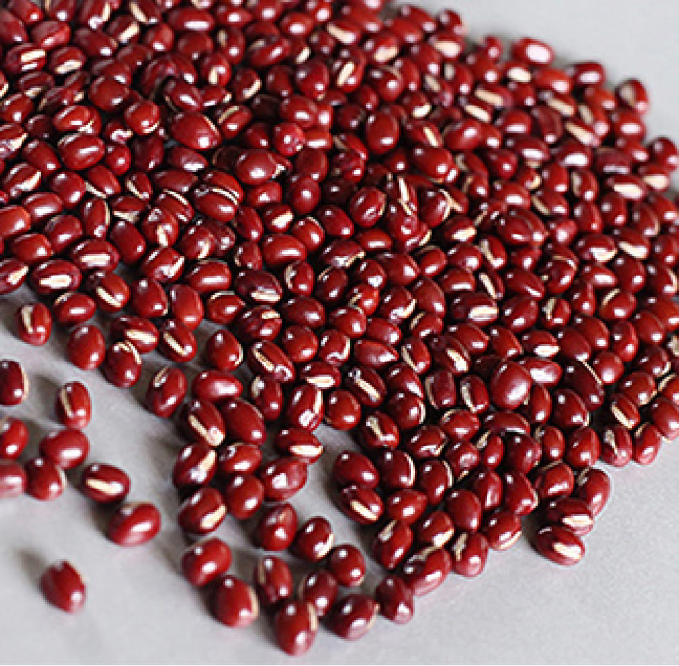 厳選された素材が生む自然な美味しさ